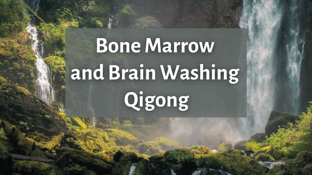 Bone Marrow and Brain Washing Qigong ...