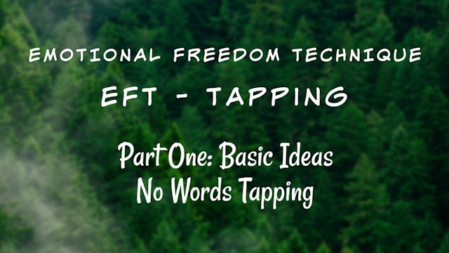 EFT training Part One - Basic Ideas and No Words Tapping