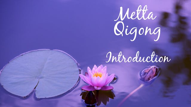 Metta Qigong Intro (6 mins)