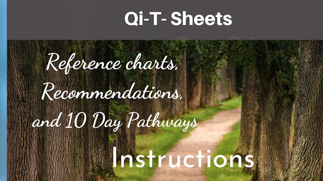 Pathways and Qi-T Sheet Instructions
