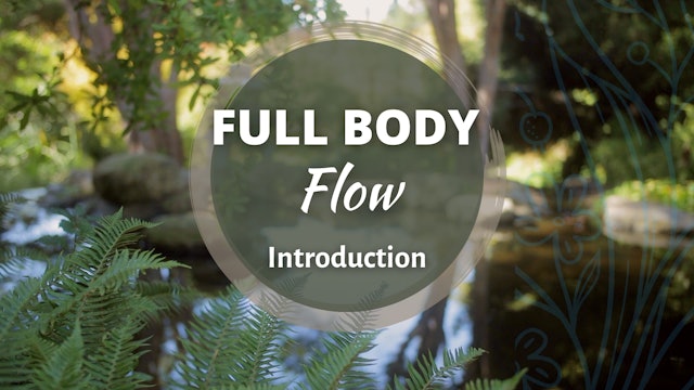 Full Body Flow Introduction (4 mins)