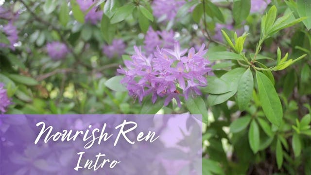 Nourish Ren Intro (3 mins)