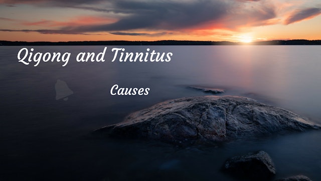 #2) Tinnitus Causes and Diagnosis (12 mins)