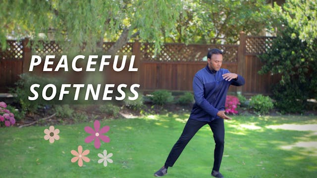 Peaceful Softness (18 mins)