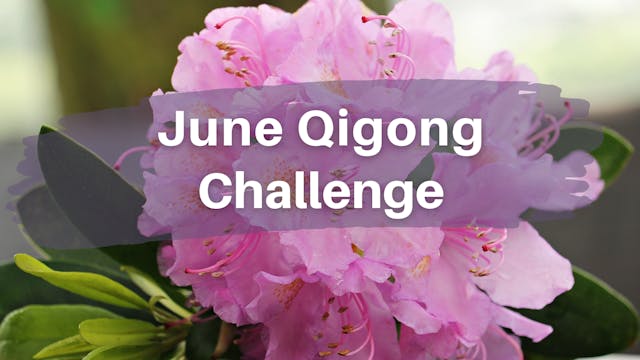 June Qigong Challenge (4 mins)