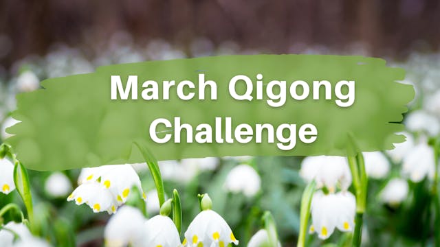 March Qigong Challenge (8 mins)