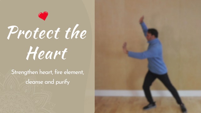Protect the Heart (20 mins)