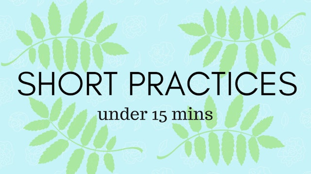 Short Practices