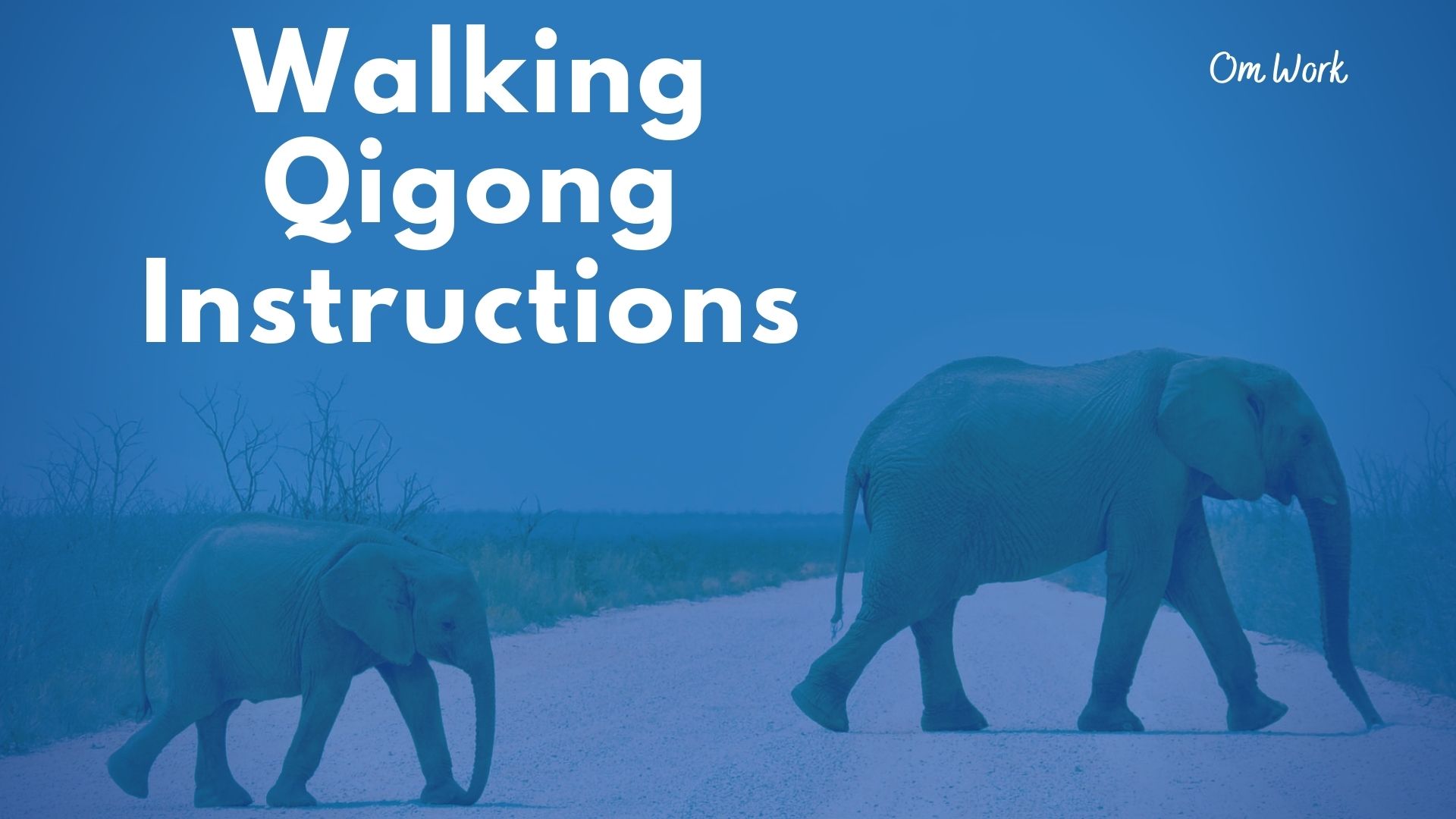 Om Work - Walking Qigong Instructions (17 min)