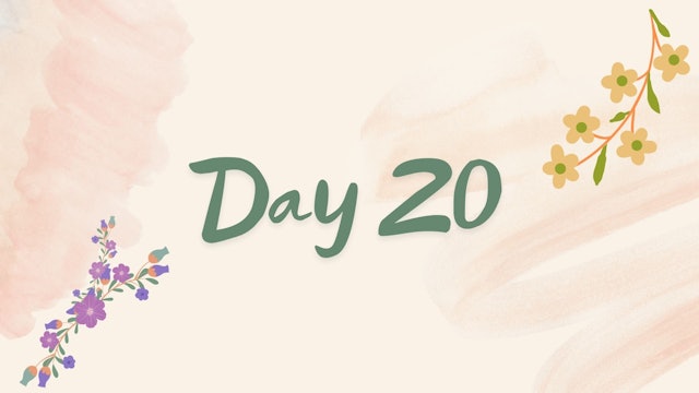 Day 20