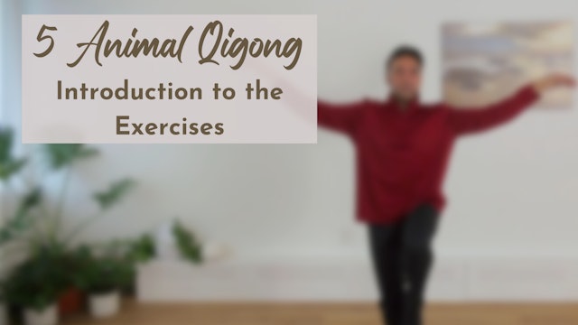 5 Animal Qigong Intro to the Exercises