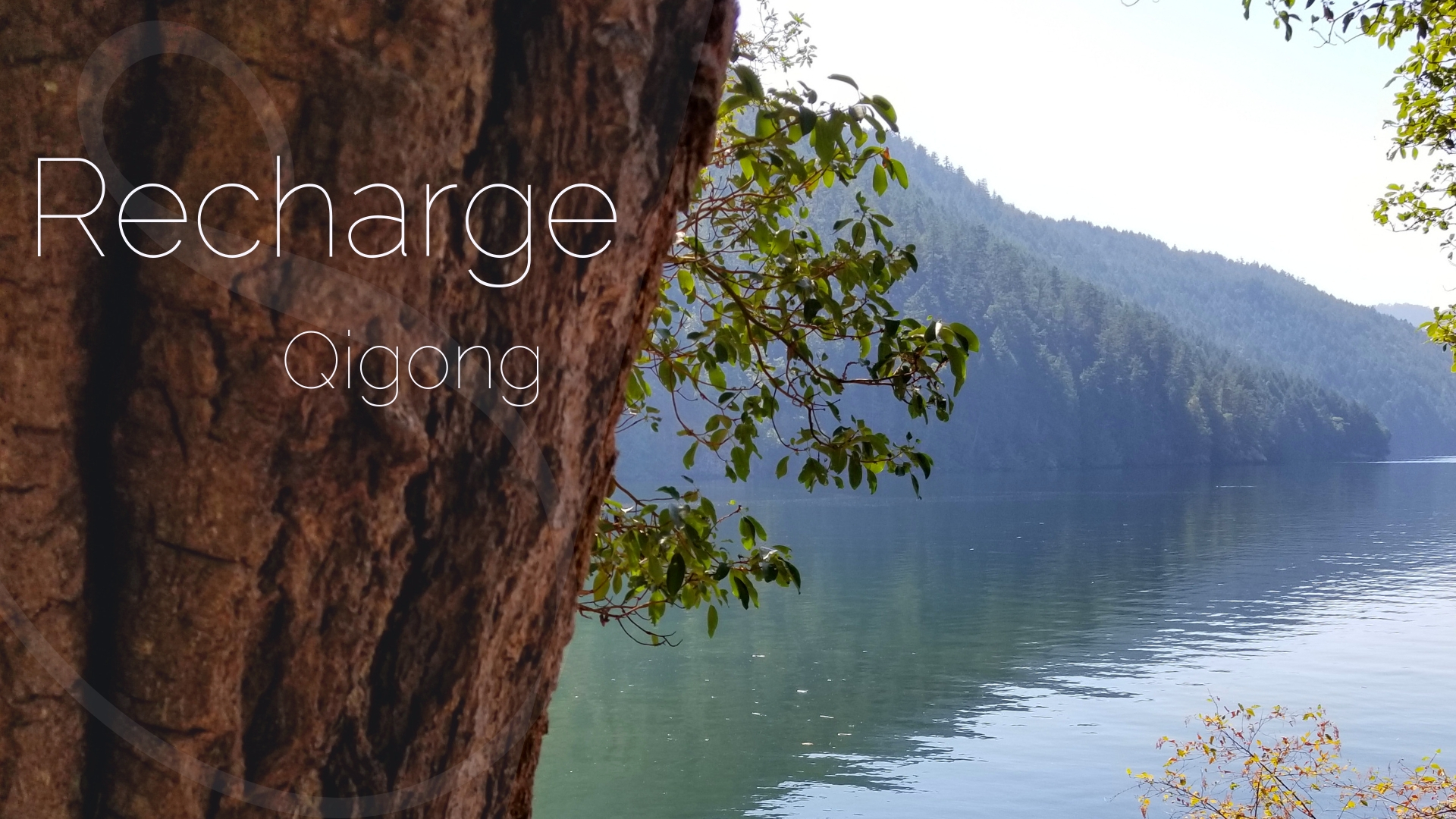 Recharge Qigong (9 mins)
