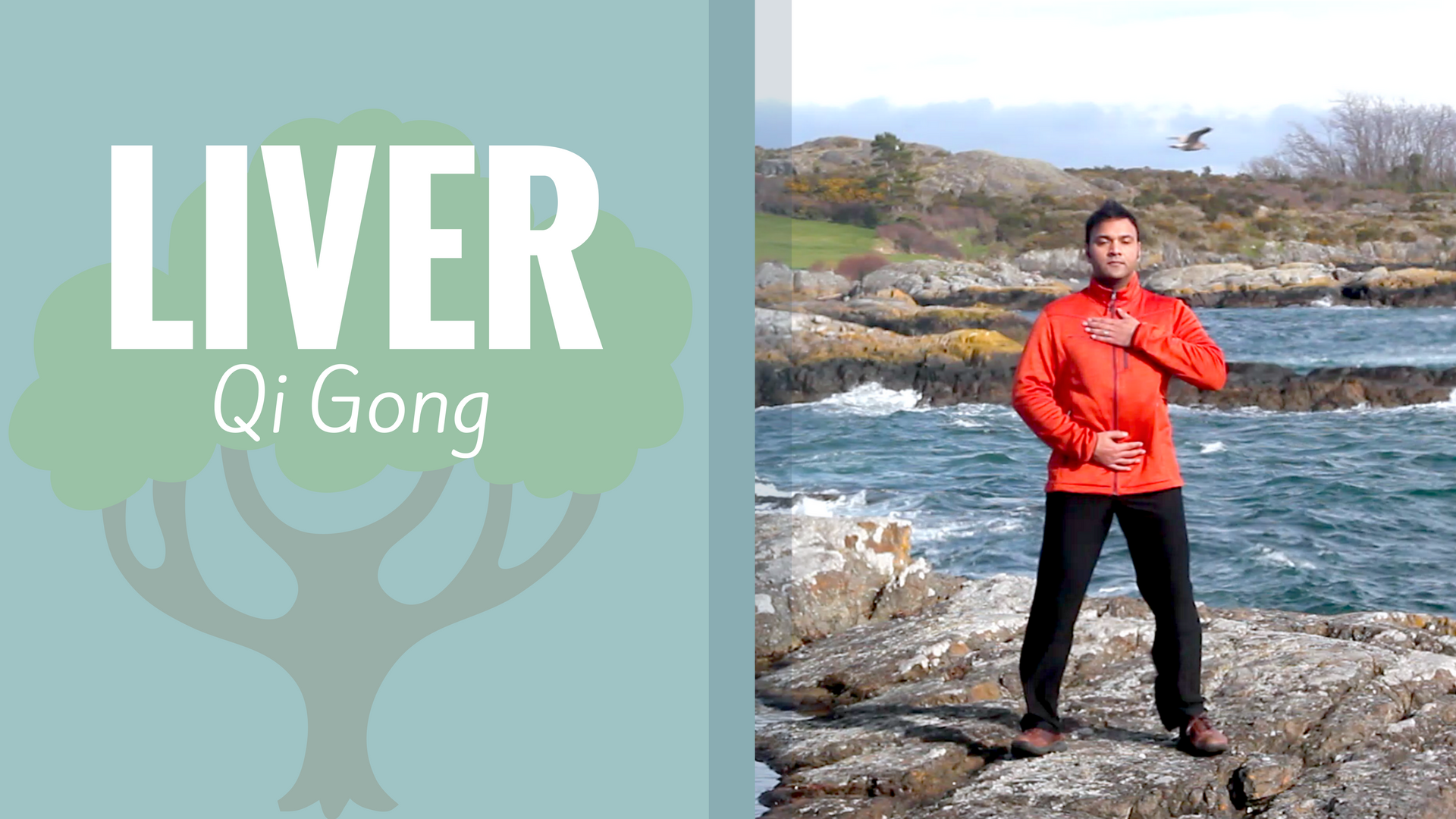 Liver/Wood Element Qigong (28 mins)