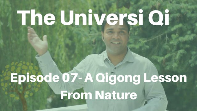 Universi Qi Episode 7 - A Qigong Less...