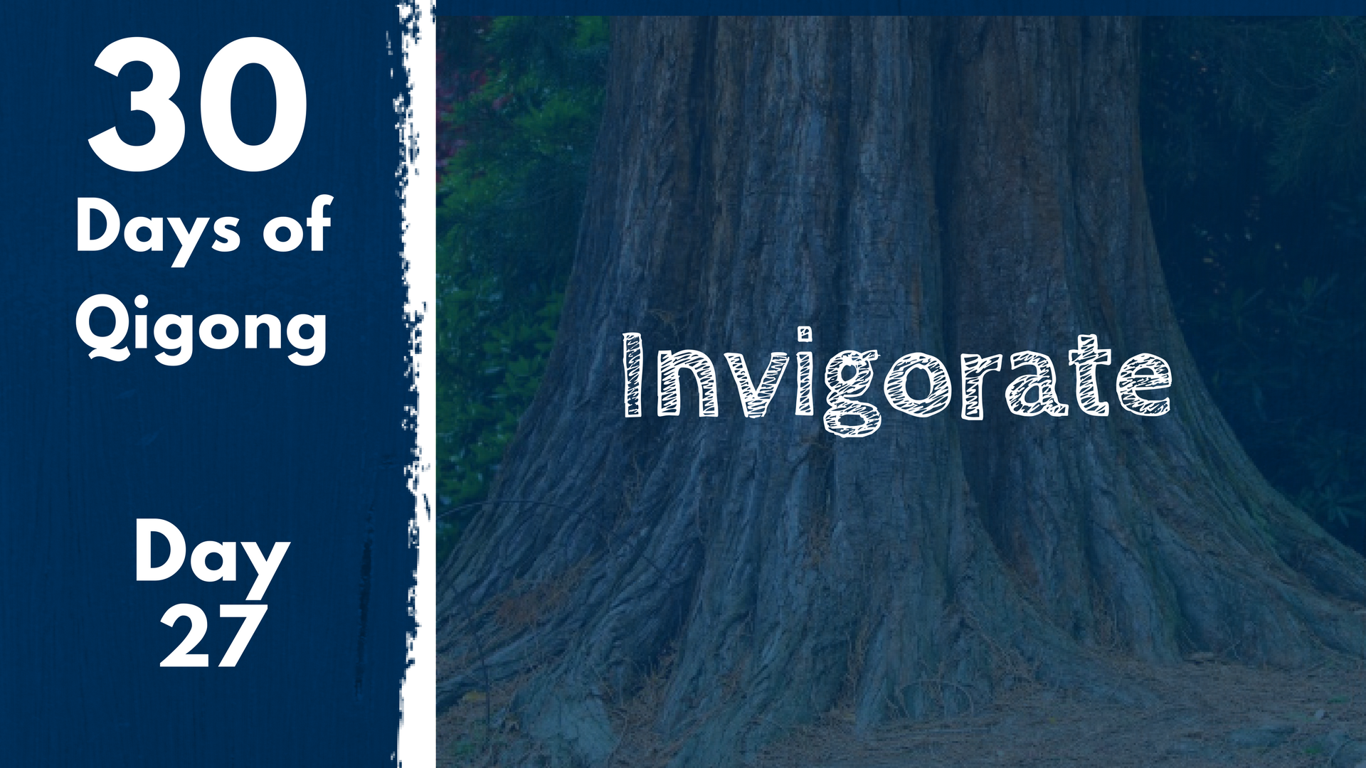 Day 27 Invigorate (21 mins)