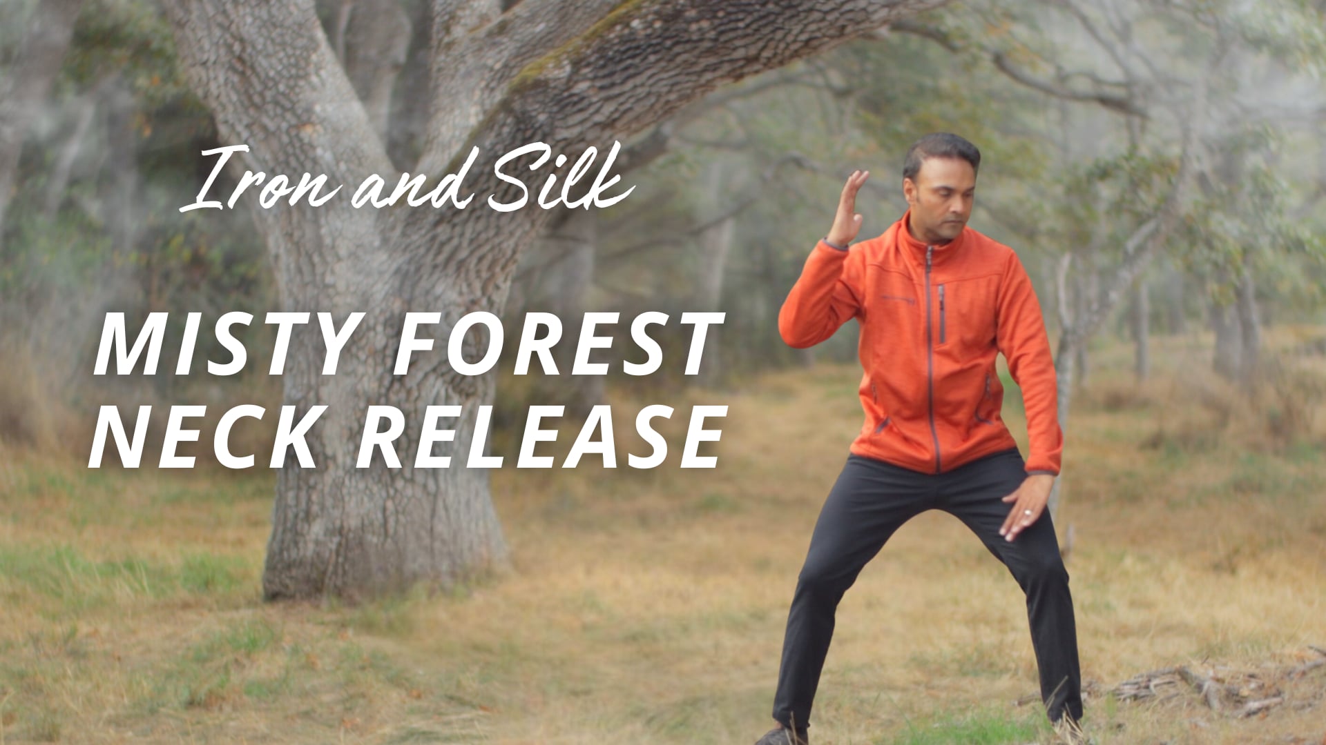 Iron and Silk - Misty Forest Neck Release (18 mins)