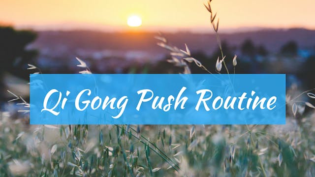 Silent Qigong Push Routine (16 min)
