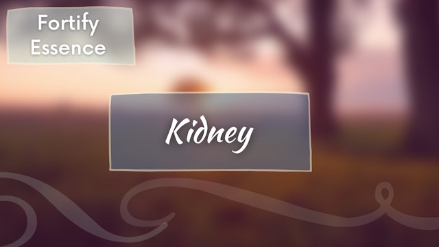 Full Body Flow - Kidney - Fortify Essence (22 mins)