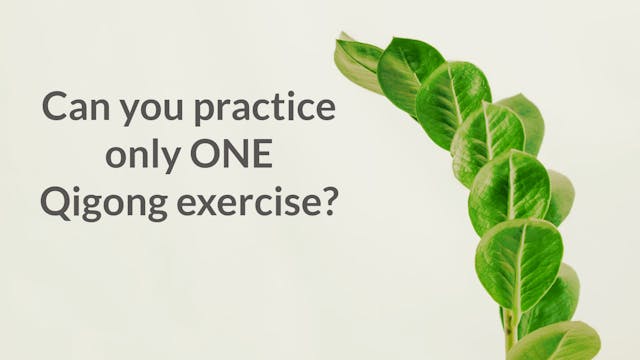 Can you practice only one exercise? (...