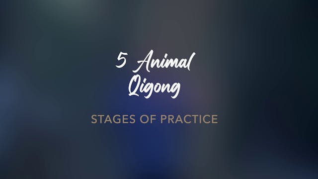 3 Stages of the 5 Animal Qigong