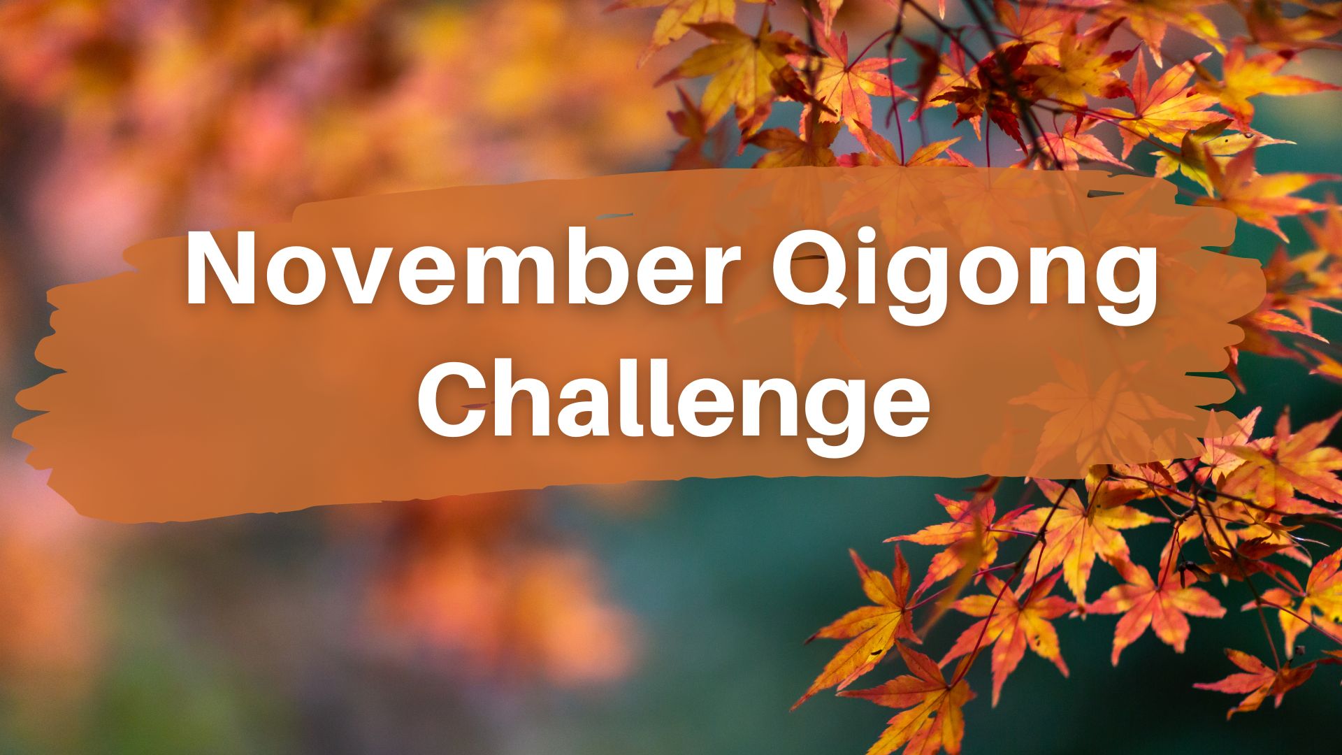 November Qigong Challenge