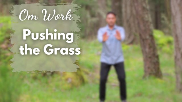 Om Work - Pushing the Grass