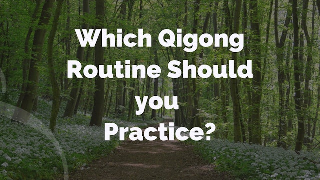 'Q and A' Episode 2 - Which QiGong Routine Should I Practice? (11 mins)