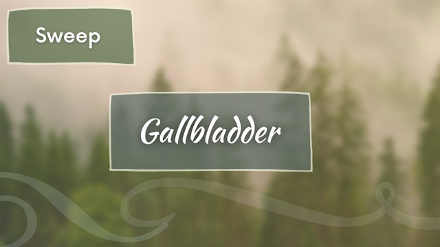 Gallbladder Meridian - Sweep (32 mins)