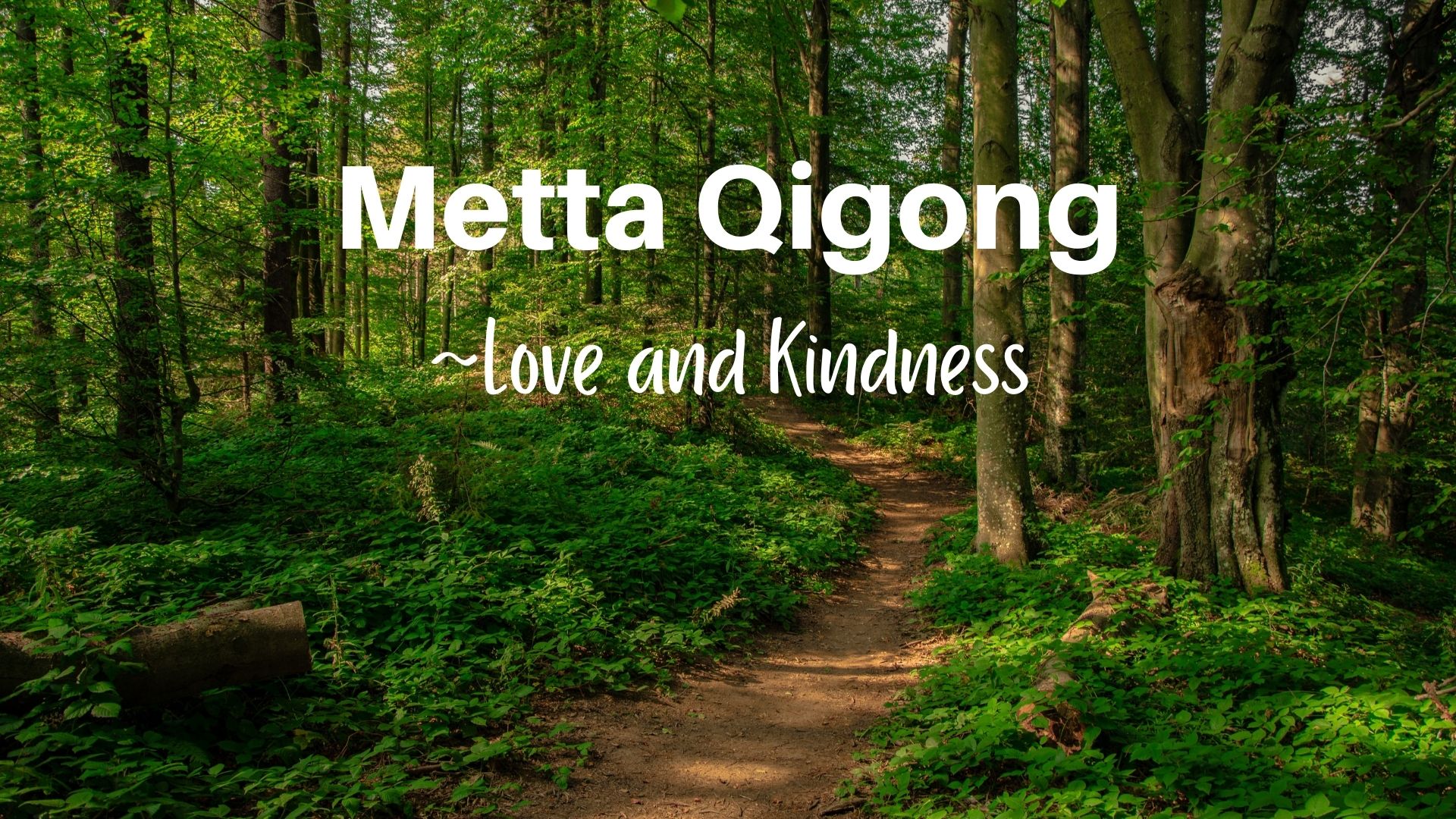 Metta Qigong Practice - Love and Kindness (15 mins)