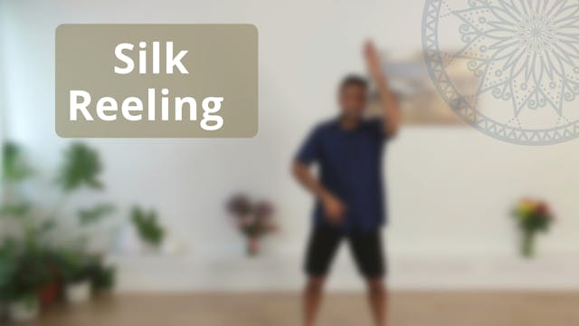 Silk Reeling Routine (19 mins)