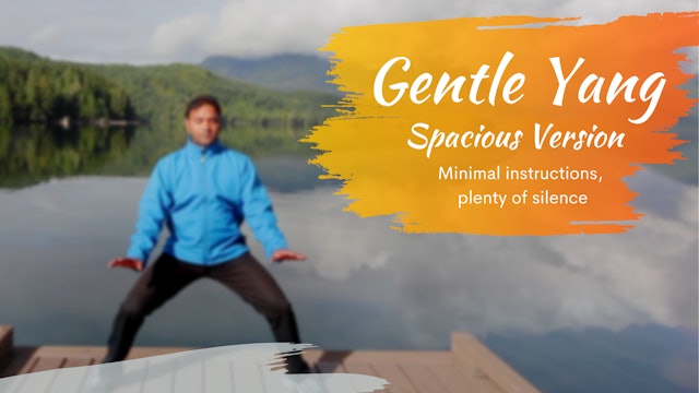 Gentle Yang Qigong - Spacious version (18 mins)