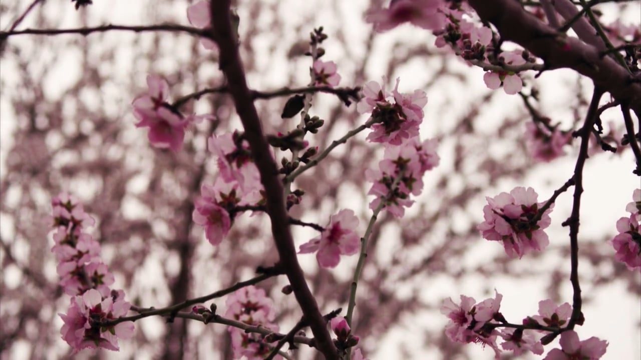 Day 4 Meditation - Happy Place (6 mins)