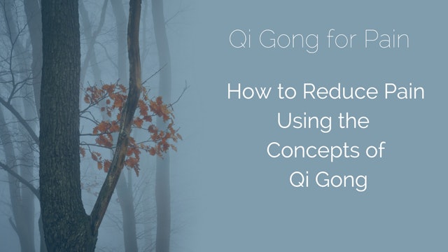 Qi Gong For Pain (22 mins)