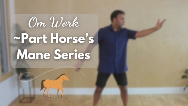 Om Work - Part Horse's Mane Series (3...
