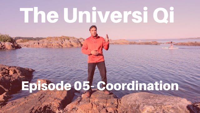 Universi Qi Episode 5 - Coordination ...