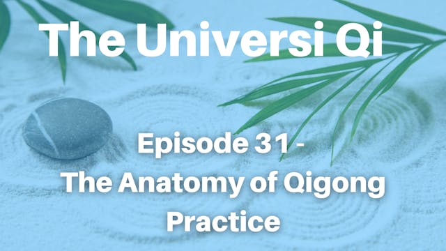 Universi Qi Episode 31 - The Anatomy ...