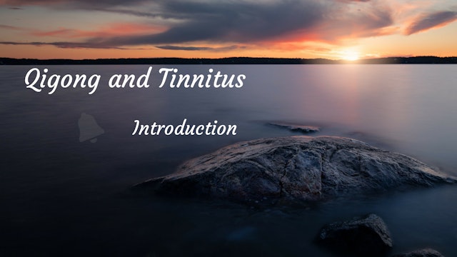 #1) Tinnitus - Introduction (4 mins)
