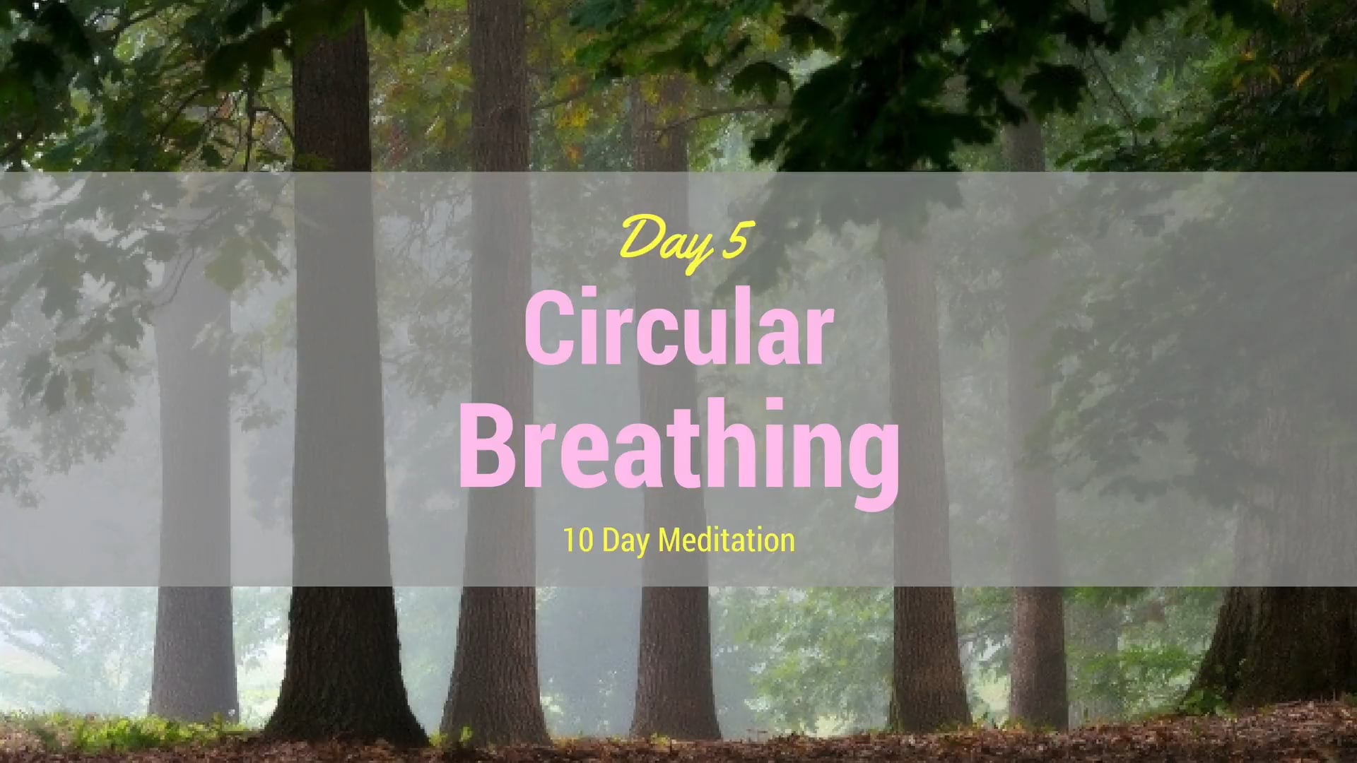 Day 5 Meditation - Circular Breathing (6 mins)