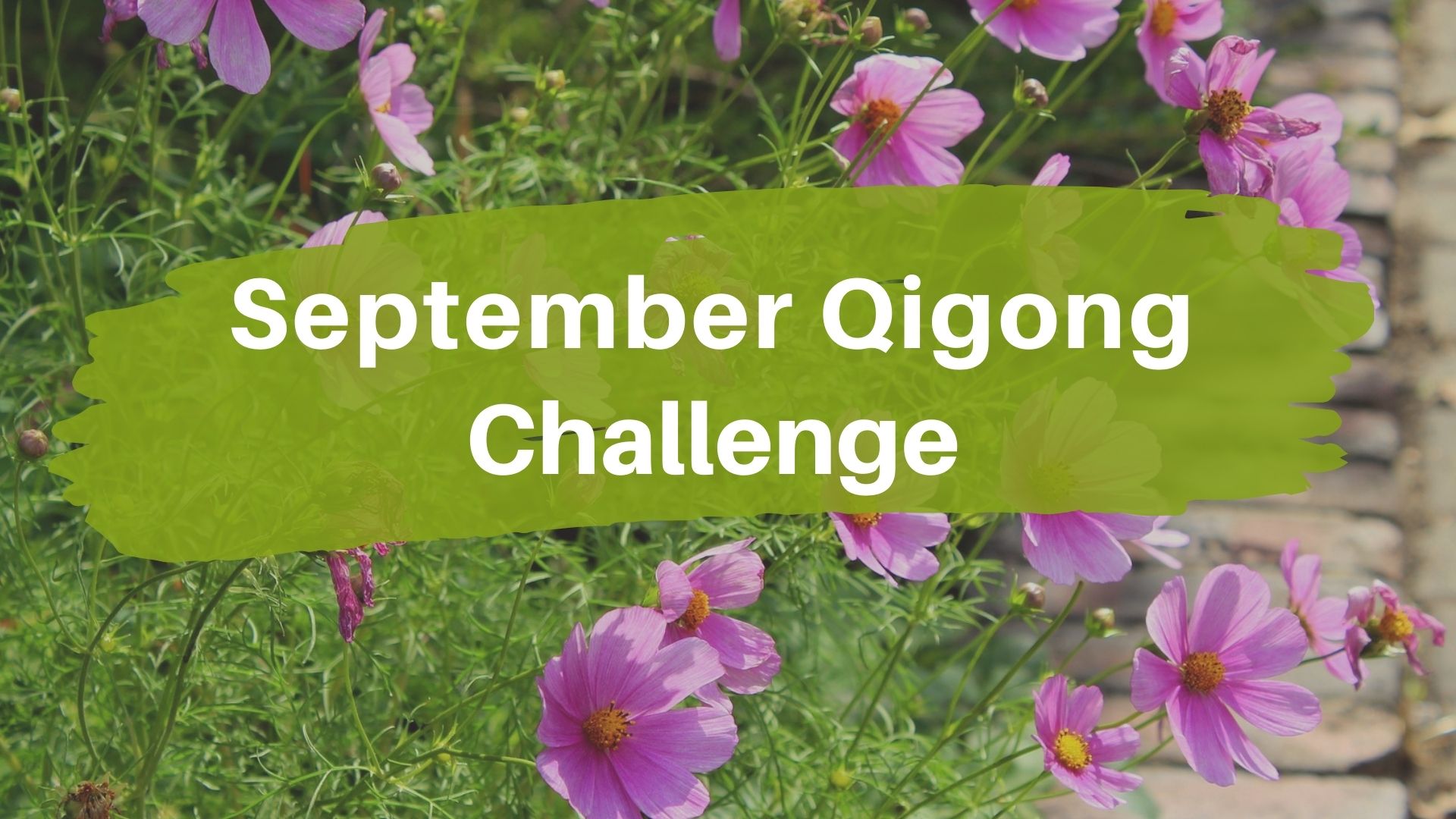 September Qigong Challenge (4 mins)