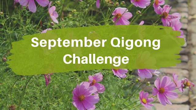 September Qigong Challenge (4 mins)