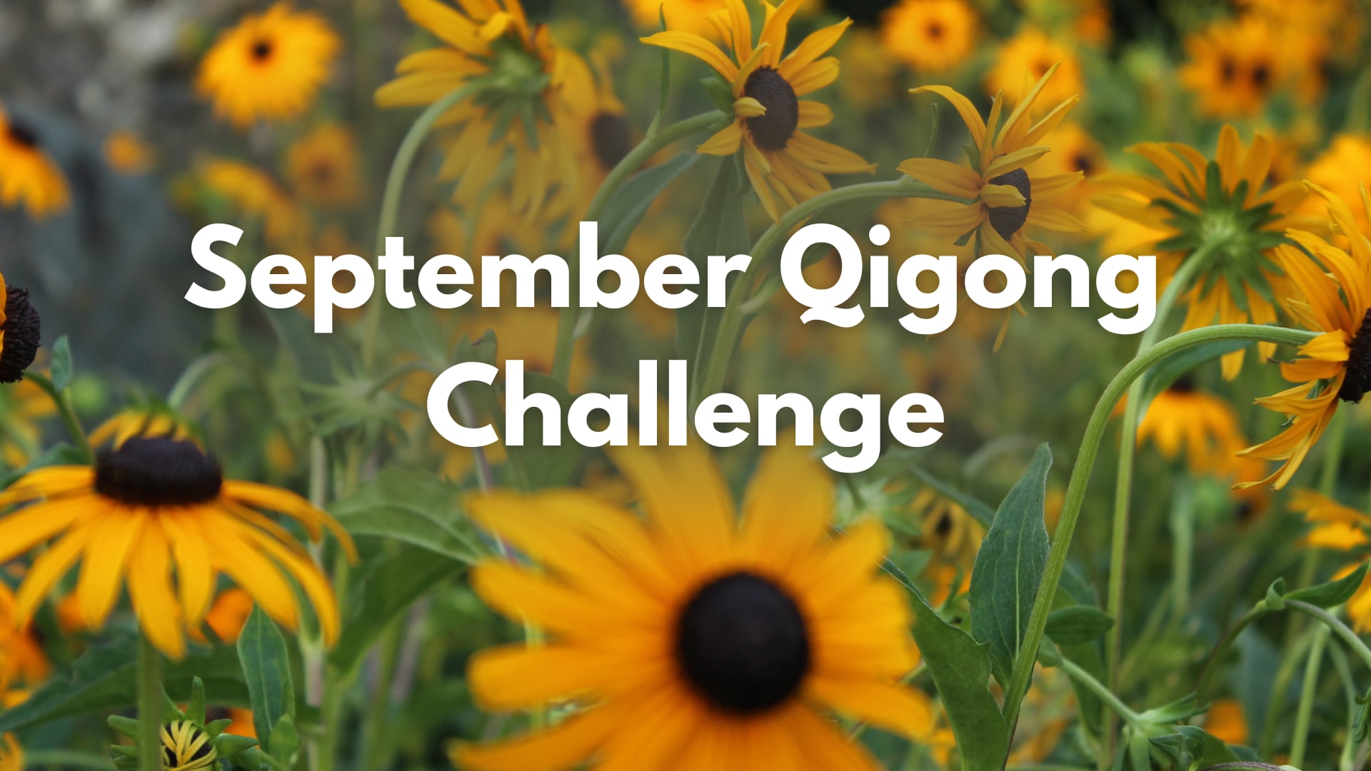September Challenge