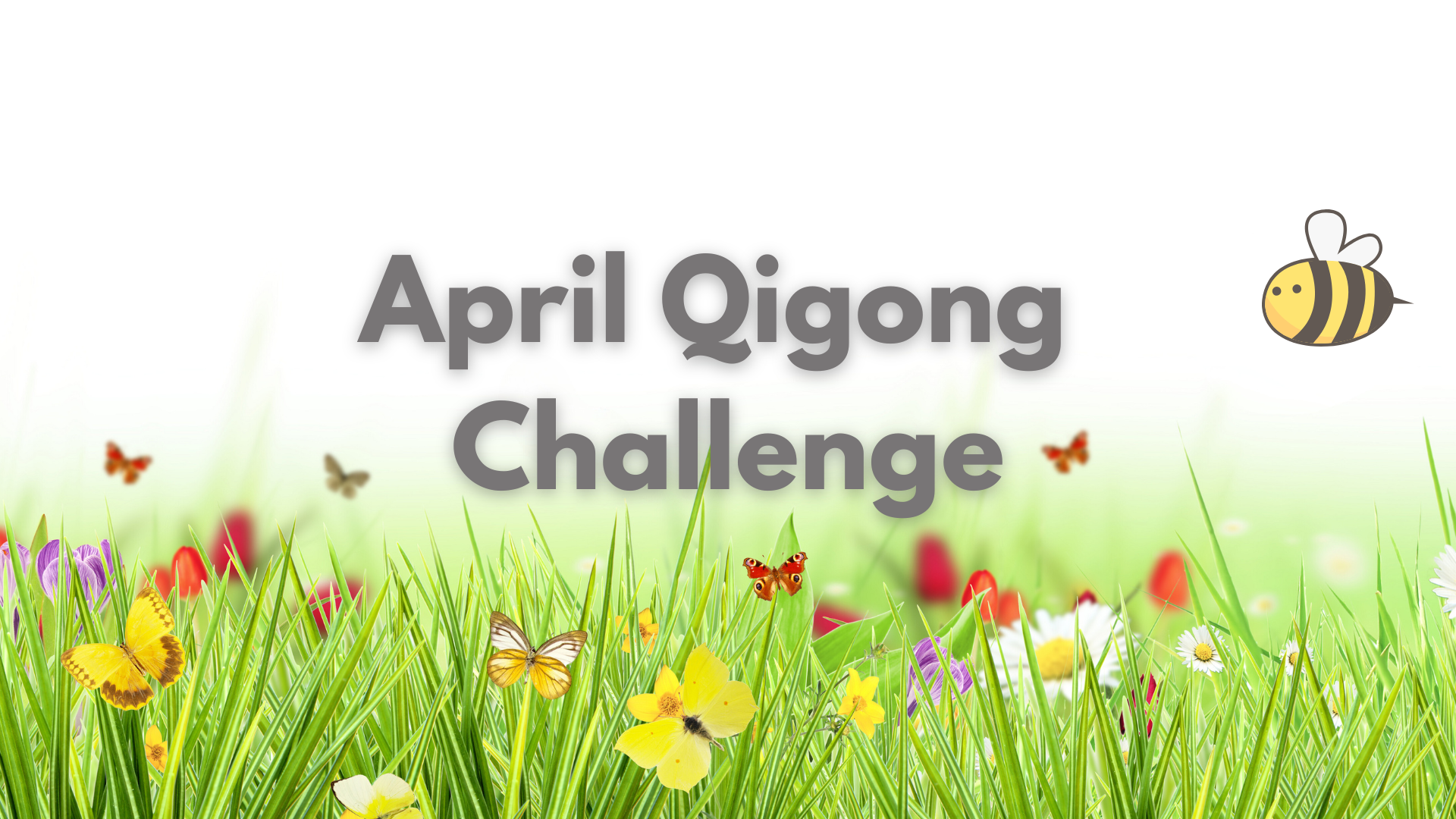 April Qigong Challenge