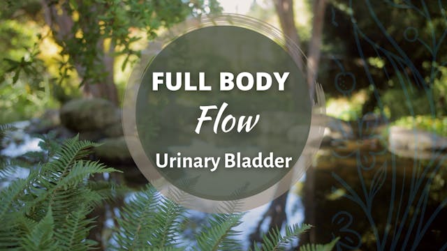 Full Body Flow - Urinary Bladder (53 ...
