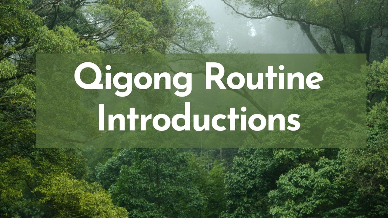 Qigong Routine Introductions