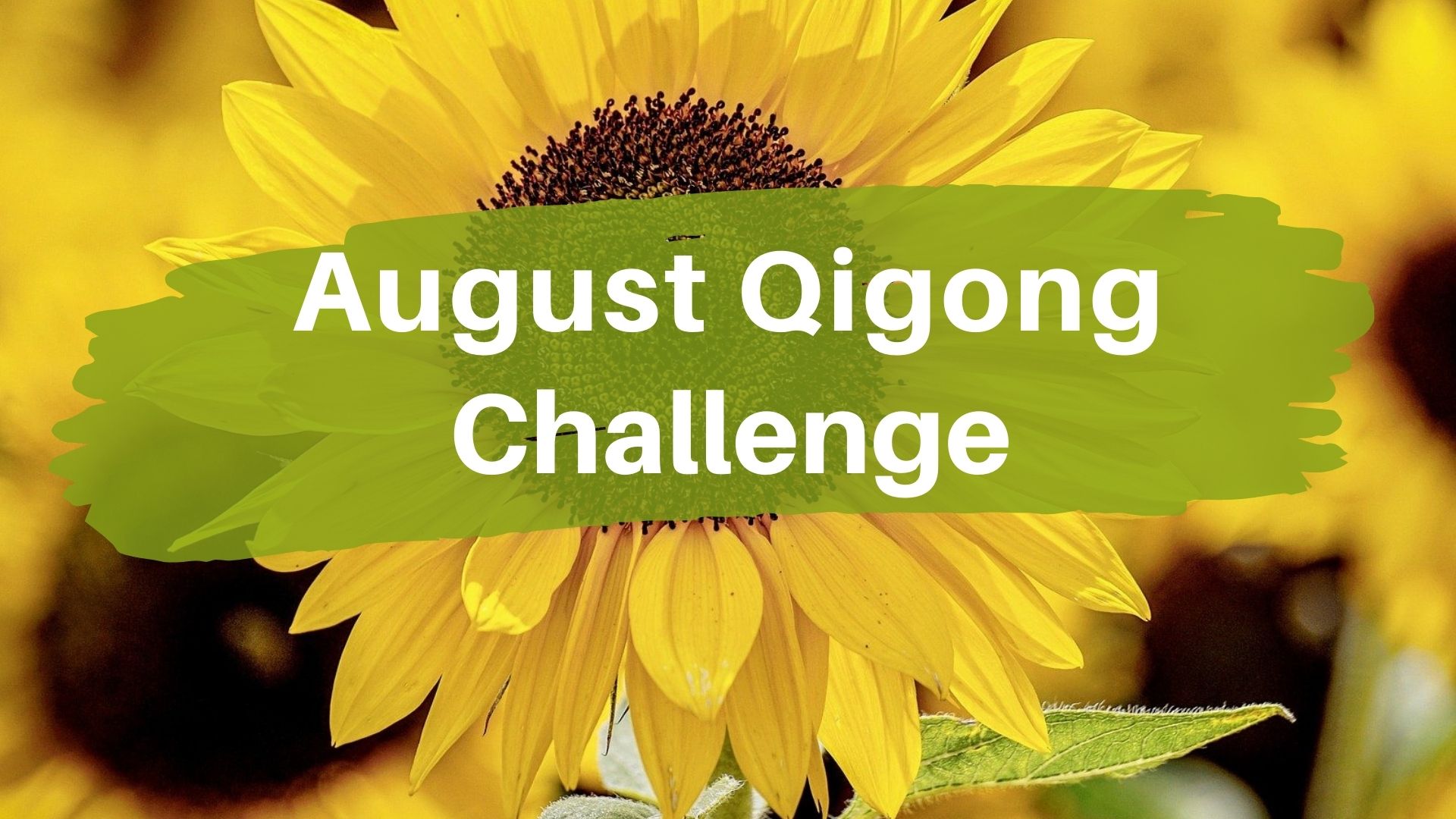 August Qigong Challenge