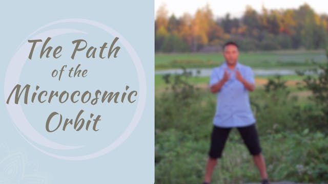 The Path of the Microcosmic Orbit (22...