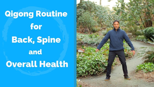 Qigong For Back - Spinal Twisting Practice (14 mins)