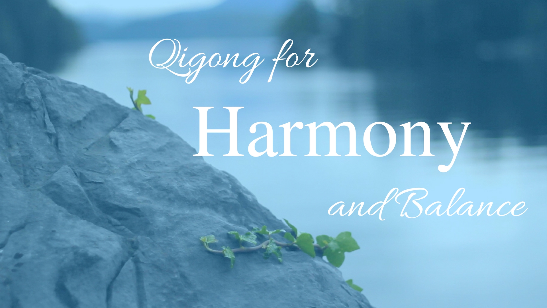 Qigong for Harmony (22 mins)