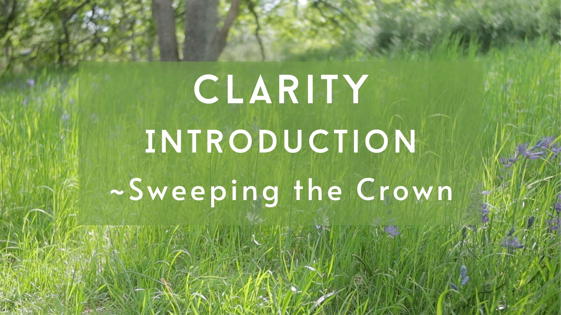 Clarity Introduction - Sweeping the Crown (5 mins)