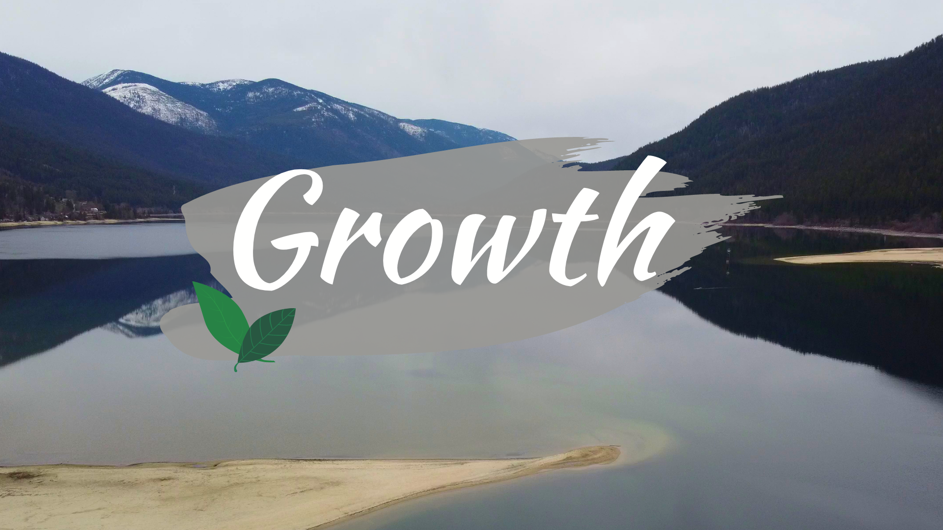 Growth (32 mins)